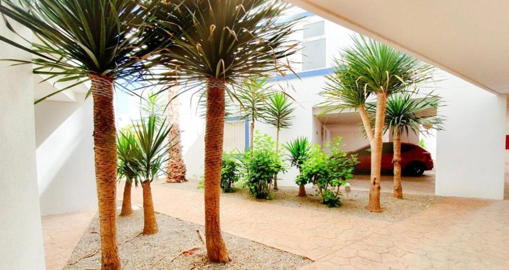 Apartment With Sea Views In Las Terrazas/Playa Flamenca Dehesa de Campoamor  Exterior foto